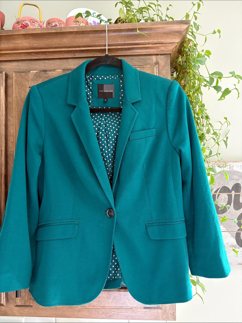 The Limited Teal Green Single-Button Blazer